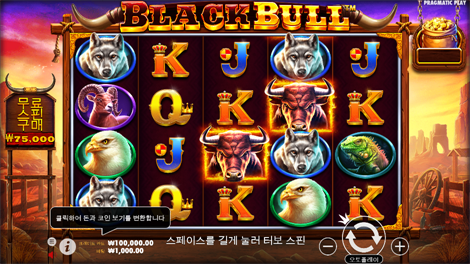 소닉카지노 링크