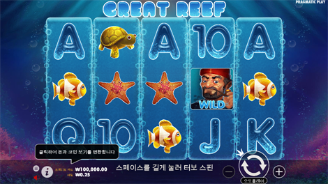 소닉카지노 도메인