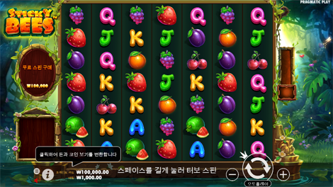 소닉카지노 도메인