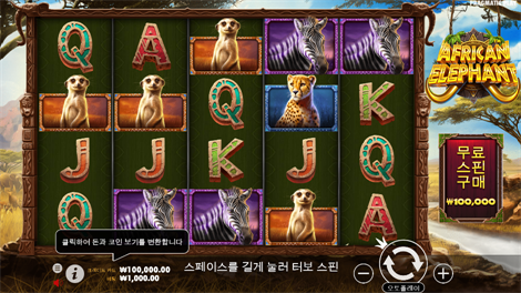 소닉카지노